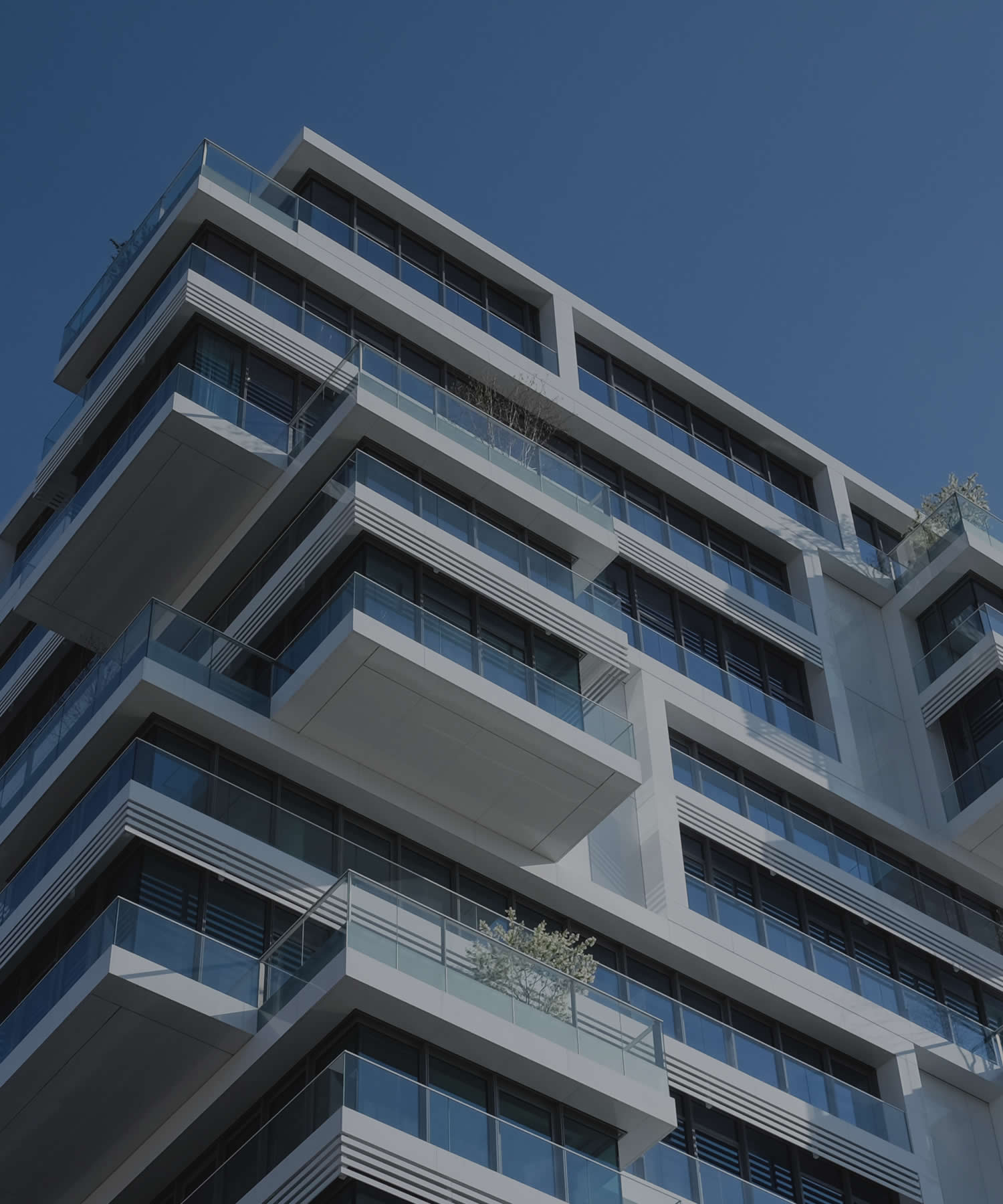 DomusGroup